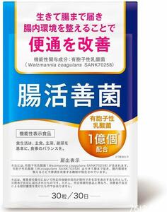 腸活善菌 便通改善 乳酸菌 サプリ 1億個配合 ビフィズス菌 食物繊維 30日分 機能性表示食品