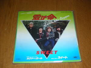 スイート　愛が命　SWEET