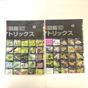 【86】昆虫探検図鑑1600 写真検索マトリックスのみ 全国農村教育協会 中古品