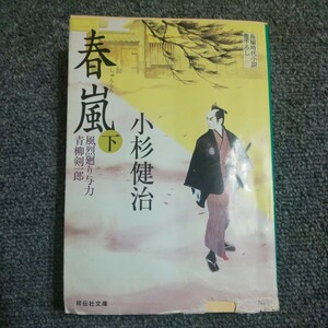 春嵐　長編時代小説　下 （祥伝社文庫　こ１７－２２　風烈廻り与力・青柳剣一郎　１９） 小杉健治／著