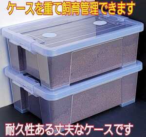 【2セット】カブトムシ幼虫を入れるだけ☆便利！ケース入りプレミアム3次発酵マット　栄養添加剤配合で大きくなります！雑虫もわきません！