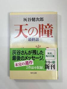 天の瞳 最終話 (角川文庫)　平成21年初版【K108895】