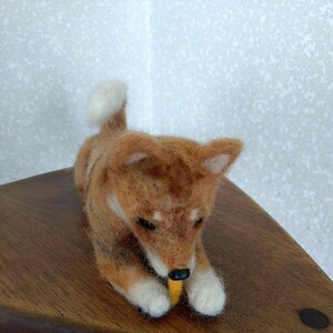 羊毛フェルト 　四国犬　犬　 日本犬　ミックス犬　雑種犬　ハンドメイド　ぬいぐるみ　★送料無料★　★匿名配送★5