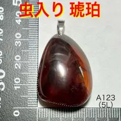 天然石 虫入り 琥珀 ペンダントトップ （5L）