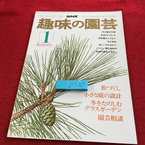 Z13-365 NHK 趣味の園芸 1月号 昭和51年発行 1月の園芸作業 盆栽のたのしみ 植物園をたずねて 花の美術 新しい花を求めて 松づくし など