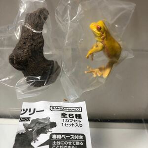 いきもの大図鑑指まきコレクション アマガエル(イエローアルビノ)