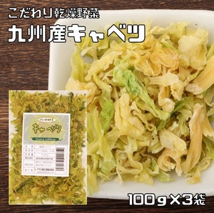 キャベツ 100g×3袋 熊本県産 乾燥野菜 （メール便）九州産 吉良食品 ドライキャベツ 干し野菜 国産 国内産 乾物 便利野菜 備蓄 非常食