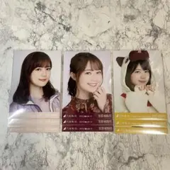 乃木坂46 生田絵梨花　生写真　まとめ売り