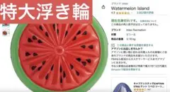 （特大）スイカの浮き輪　ヨーロッパIntex WatermelonIsland