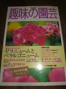 ●NHK 趣味の園芸 1999年3月 ゼラニュームとペラルゴニューム D