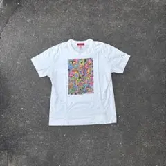 evisu yamane art T shirt picasso