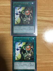 遊戯王カード　神の写し身との接触　レア2枚セット！