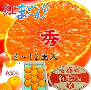 愛媛産【紅まどんな】ゼリーな柑橘類（2L~3L 12~10 玉 )3kg 化粧箱付きご贈答用に最適 超濃厚 甘い 高糖度 お歳暮 誕生日プレゼント