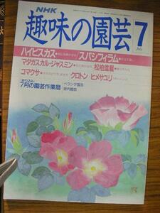 oe●NHK趣味の園芸 昭和63年7月号●ハイビスカス