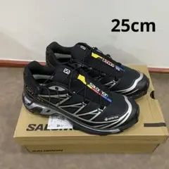 XT-6 Gore-Tex SALOMON[サロモン]スニーカー 靴25cm