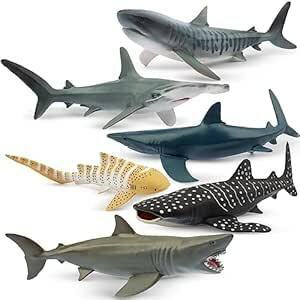 TOYMANY 動物フィギュア 6PCSサメフィギュア 海洋動物フィギュアセット 12cm～14cm 生物 魚類 海の生き物 リア