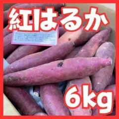 紅はるか さつまいも 6kg c