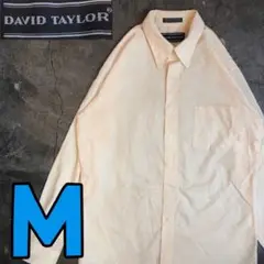 T1077 DAVID TAYLOR ボタンシャツ　カラー　レトロ　奇抜　古着