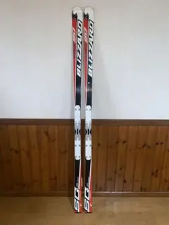 ブリザードSG 209cm