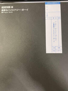 素敵なハイエナジ－ボーイバンドピース新品古本未使用値引品5-2-21