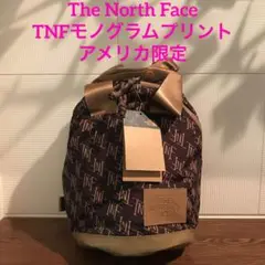 The North Face ミニバックパック　ノースフェイス　アメリカ限定