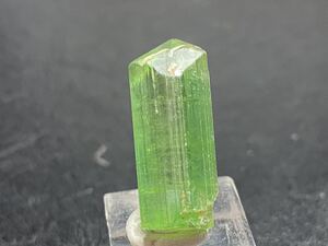 アフガニスタン　グリーントルマリン　12.5ct