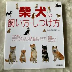 柴犬の飼い方・しつけ方