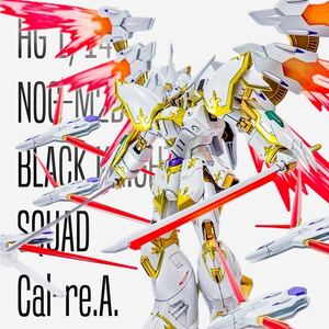 HG ブラックナイトスコードカルラ パール 塗装 完成品（ガンダム ガンプラ 機動戦士ガンダムSEED FREEDOM フリーダム 塗装済み）