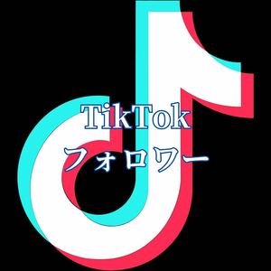 【最高品質】《TikTok フォロワー5000》おまけ～便利なSNS増加ツール～ SNS Instagram Ｘ(旧Twitter) TikTok フォロワー