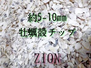 牡蠣殻チップ 500g 約5-10mm 水質安定 水質改善 アクアリウム 金魚 メダカ 熱帯魚