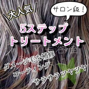 ディープレイヤー 美容室の5段階システムトリートメント ＋ ホームケア 1回分　コメントいただければ新たに商品ページを作成致します！！