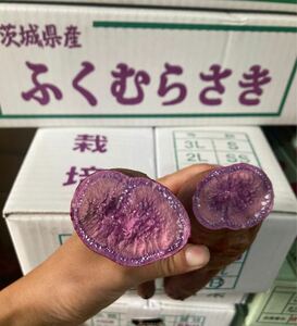 136.お買い得さつまいも、ふくむらさきいも　福紫芋　むらさきいも箱込み5kg