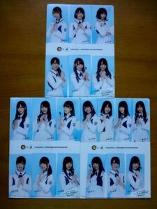 けやき坂46 CoCo壱 クリアファイル 第1弾 3種 コンプ / ここいち de HAPPY！キャンペーン / 送料250円