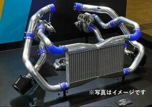 個人宅発送可能 TRUST トラスト GReddy ボルトオン ターボキット NISSAN ニッサン フェアレディZ Z34 T517Z-8cm2 (11520097)