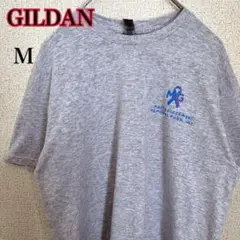 GILDAN ギルダン 両面プリント Tシャツ 海外古着 ユニセックス グレー