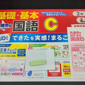 え-068 札幌市版 基礎・基本 国語C 2年 上 ぶんけい 問題集 プリント 学習 ドリル 小学生 漢字 テキスト テスト用紙 教材 文章問題※11