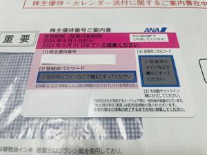 全日空 ANA 株主優待　国内線搭乗優待　2024年6月1日から1年間有効