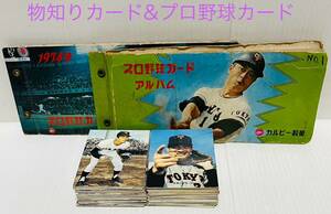 【希少レア】☆1970年代☆カルビー☆プロ野球物知りカード(42枚)&プロ野球カード(38枚)☆長嶋/王 他☆計90枚☆中古品☆