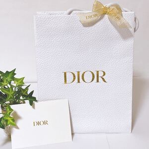 クリスチャン・ディオール「Christian Dior」ショッパー 小物箱サイズ (4512) 正規品 付属品 ショップ袋 ブランド紙袋 小さいバッグ可