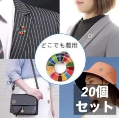 20個セット◎ SDGs バッジ 25mm ピンバッジタイプ