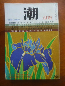 月刊 潮 1969年6月号　富士山研究井伏鱒二ノート　大川村平家落人部落　奇人稲垣足穂との生活　虎杖浜温泉地価高騰　小笠原流の小笠原清信