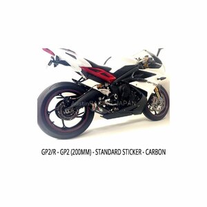 TRIUMPH DAYTONA 675 2013～2018 AUSTINRACING スリップオンマフラー オースティンレーシング