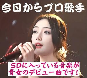 ☆アマチュア歌手をプロ歌手として著名な音楽家が作曲したもので即デビューさせます！売れる最高の曲を作り配信します☆