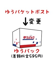 梱包変更オプション→差額595円プラスで厳重梱包可能 ※対応する商品と併せてご購入頂ければ配送方法の変更が可能です☆購入後まとめて取引