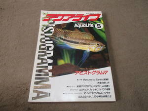 月刊 アクアライフ 1996 5 No.202 マリン企画 アピストグラマ 書籍 本