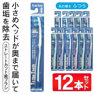 歯ブラシ 12本セット 小さめヘッド 硬さ ふつう 歯みがき 家族 大人 子供 取り換え 健康 新生活 送料無料/定形外 S◇ 歯ブラシ12本セット