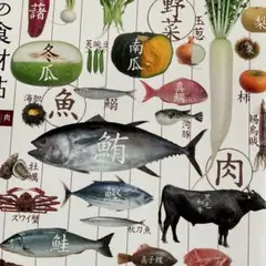 日本の食材帖　野菜　魚　肉