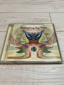 GATHERING THE TRIBE CD Interchill Dakini Records Adam Shake Gus Till ダキニ