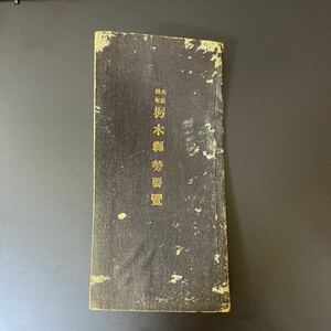 大正四年　栃木県勢要覧　県下鐵道賃金表　古書和書古文書　大正　レトロ