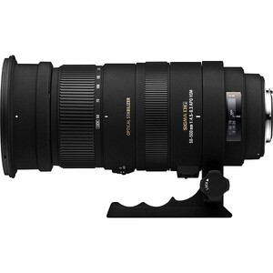 中古 １年保証 美品 SIGMA APO 50-500mm F4.5-6.3 DG OS HSM (ニコンF用)